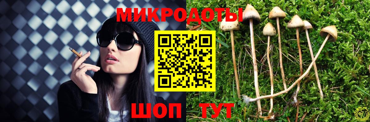 Галлюциногенные грибы Psilocybe  Вход с VPN  Лесосибирск 