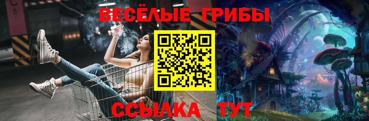 Псилоцибиновые грибы Magic Shrooms Лесосибирск